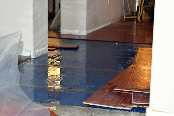 Professional Burst Pipe Cleanup technician working in Lexington, MI