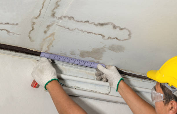 Reliable Burst Pipe Cleanup contractor in Lexington, MI by Water Damage Irwin